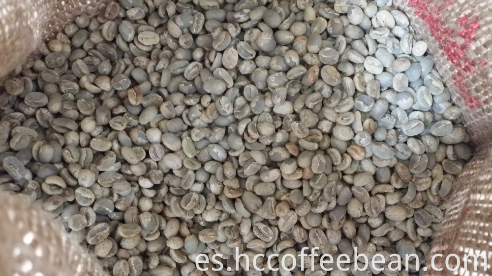 contenedor de exportación de granos de café verde